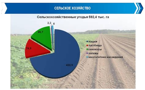 Экологическое состояние и природные ресурсы