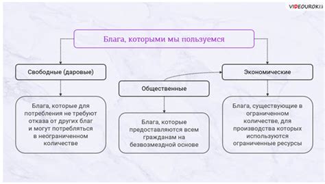 Экономический выбор в обществознании: понятие и основные принципы