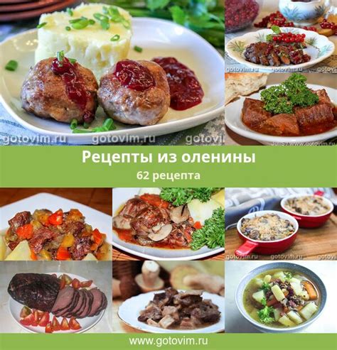 Эксклюзивные рецепты оленины