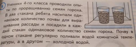 Эксперимент с влажностью влияет на разведение слизей