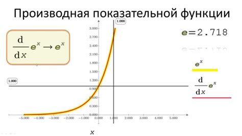 Экспоненциальная функция: обзор и свойства