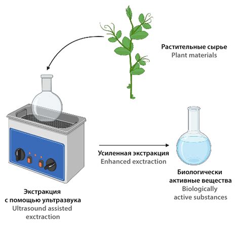 Экстракция сахарозы