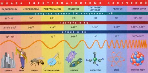 Электромагнитное излучение: понятие и особенности