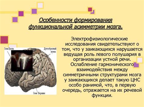 Электрофизиологические особенности мозга при эпилепсии