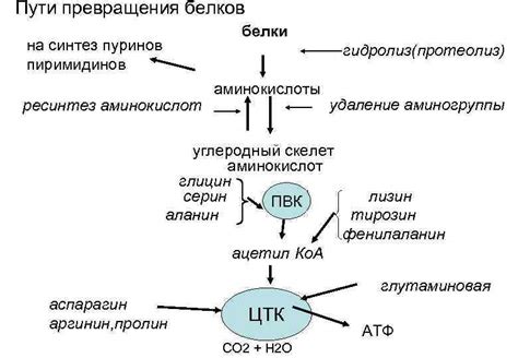 Электрохимическое удаление аминогруппы