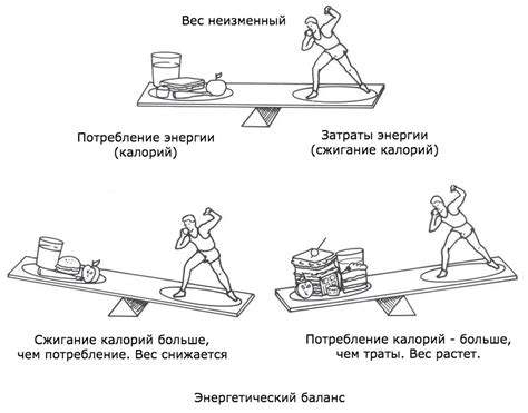 Энергетический баланс: принципы массы и сушки