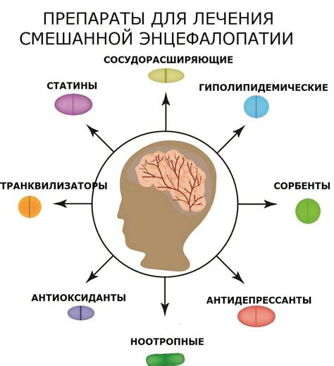 Энцефалопатия сосудов головного мозга: причины, симптомы, лечение