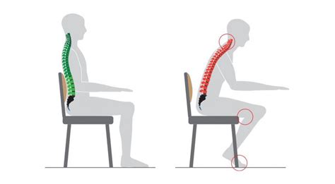 Эргономика и поддержка позвоночника