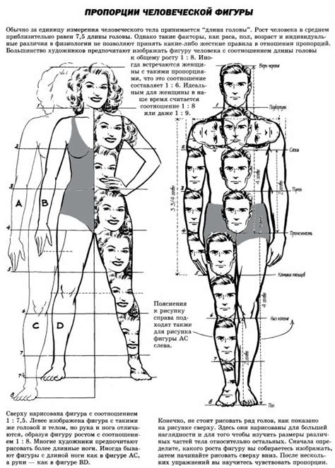 Эскизирование и пропорции человеческой фигуры