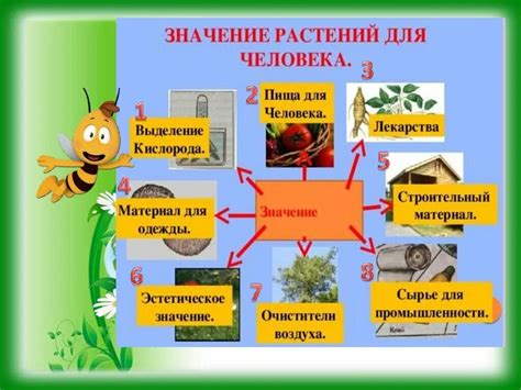 Эстетическое значение кожаного лица в стоп-массиве