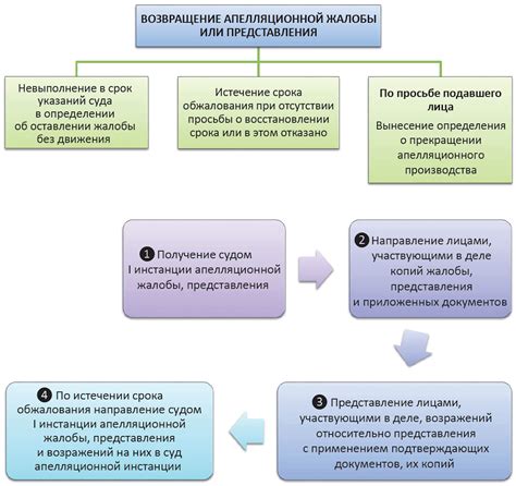 Этапы апелляционного процесса