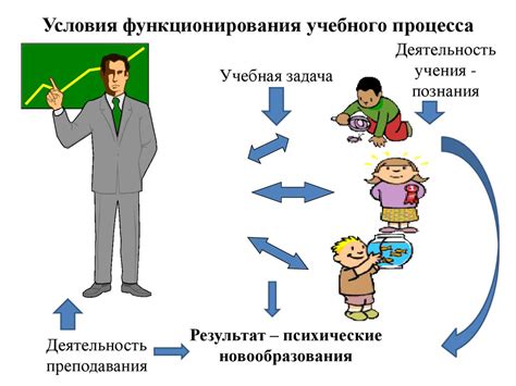 Этапы и процесс обучения