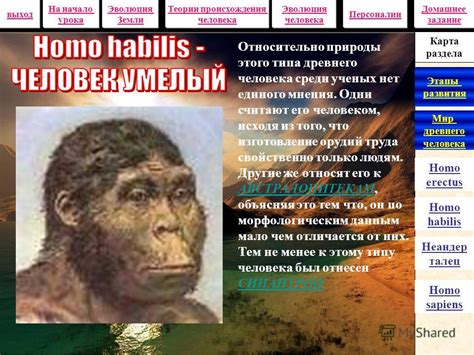 Этапы развития Homo sapiens