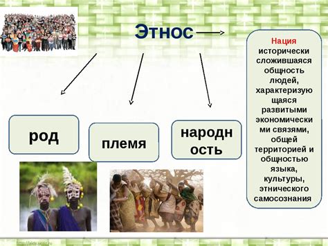 Этнос в обществознании: определение и особенности