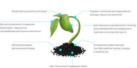 Эффективное применение органических удобрений