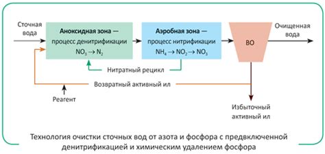 Эффективность и энергетическая эффективность методов удаления азота из воды