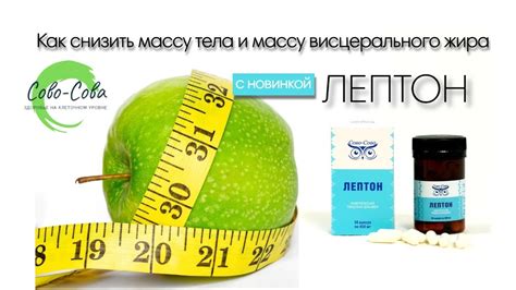 Эффективные методы снижения висцерального жира