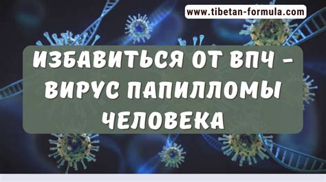 Эффективные методы фармакотерапии ВПЧ