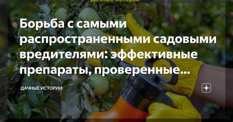 Эффективные проверенные способы устранения ауры