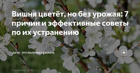 Эффективные советы по устранению лагов на телефоне