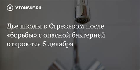 Эффективные способы борьбы с огневой бактерией