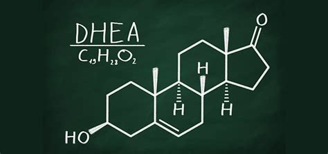 Эффекты применения DHEA у женщин