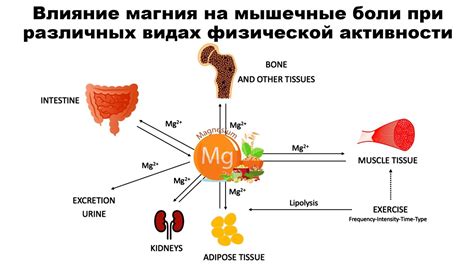 Эффект тренировки и физической активности на восприятие боли