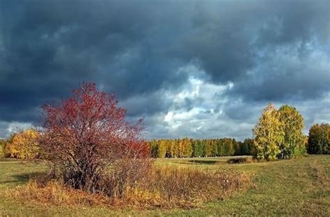 Явление "Уж небо осенью дышало": причины и проявления