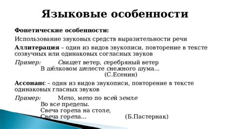 Языковые особенности