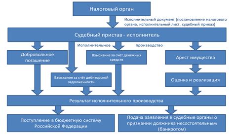  Важные сроки и требования при использовании приложения ПФР 