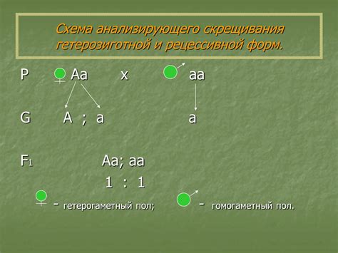  Генетические особенности наследования сцепленного с полом 