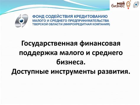  Государственная финансовая поддержка 