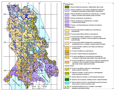  Добавление растительности и водных элементов 