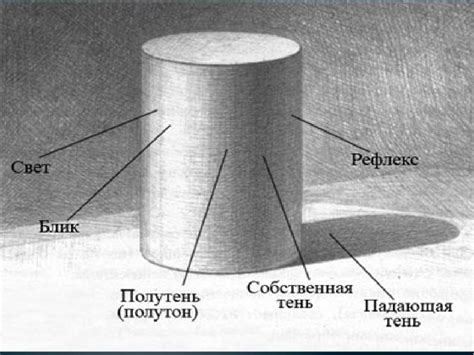  Изучение светотени в рисунке собаки 