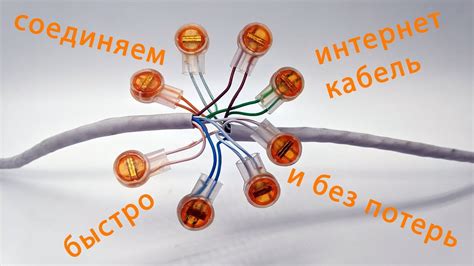  Использование специальных устройств для эффективного очищения 