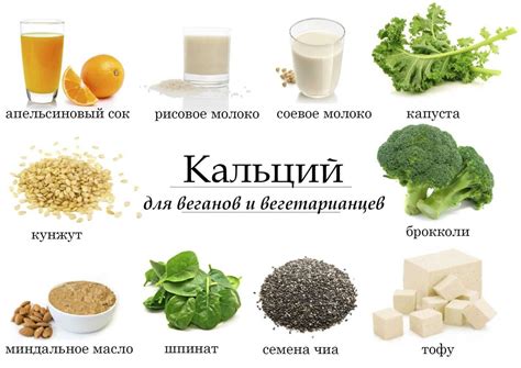  Какие продукты содержат сульфиты? 