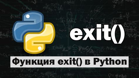  Как использовать функцию round в Python 