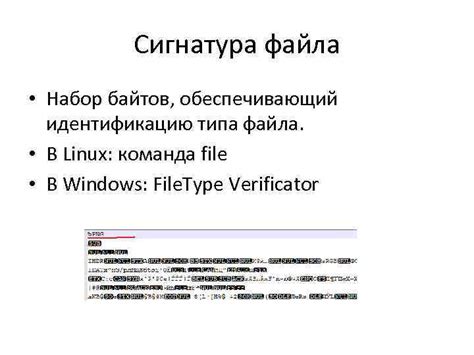  Команда file 