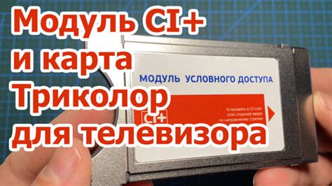  Модуль для телевизора Триколор: основное назначение 