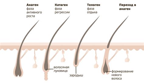  Повреждение фолликула волоса 