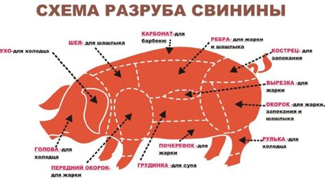  Подготовка к разделке свинины 