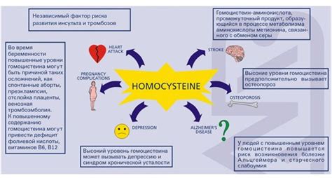  Почему важно контролировать уровень HGB? 