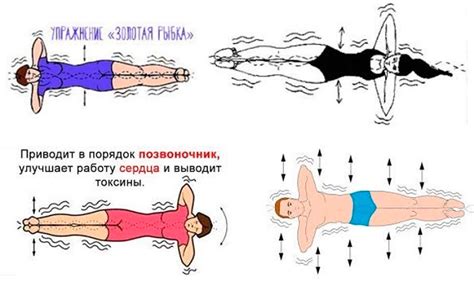  Правильная техника выполнения упражнения рыбка 