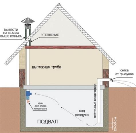  Проблемы, которые решает вентиляция под домом 