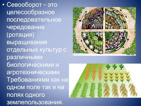  Распланировка и ротация культур 