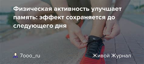  Регулярная физическая активность 