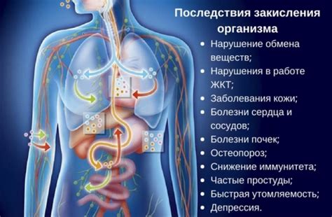  Физическая активность и щелочная среда 