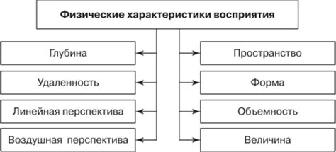  Физические характеристики Дори 