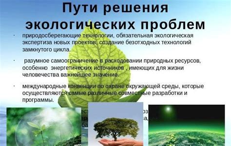  Экология и ее важность для решения экологических проблем 