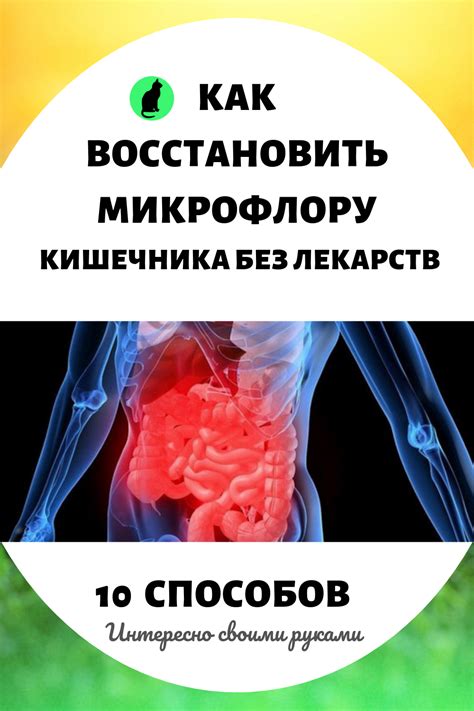 10 способов уйти от соседки-лисички: эффективные советы